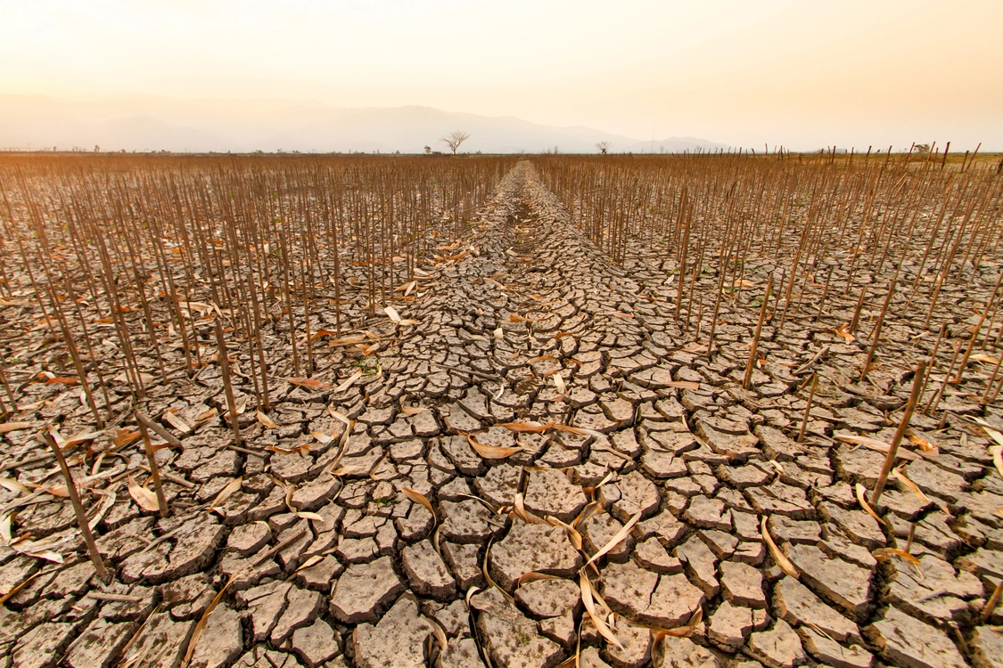 Helping Prevent Unnecessary Droughts and Keeping Our Reservoirs Healthy