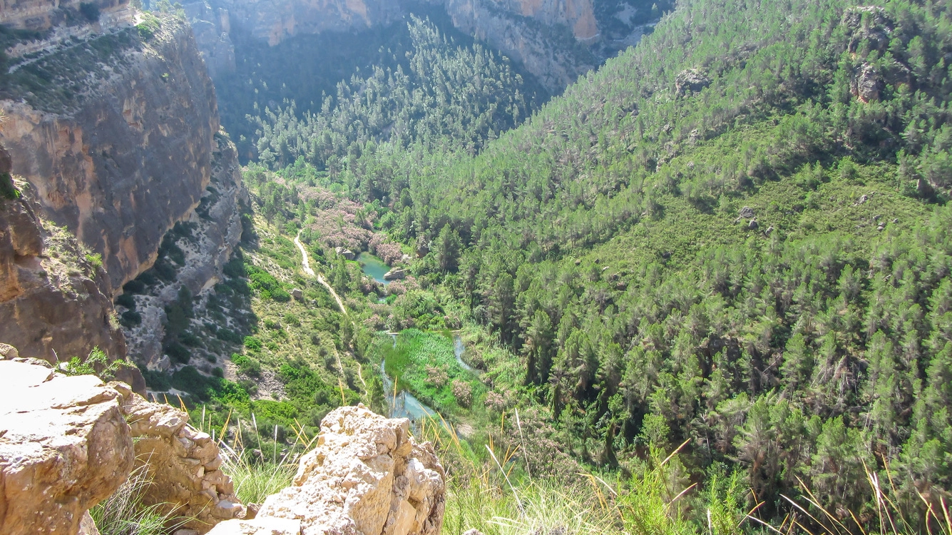 Un Futuro Más Verde a tu Alcance: Conciencia y Comodidad Unidas